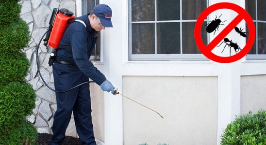 Ordu Karınca İlaçlama böcek ilaçlama ve haşere kontrolü — ilaclama-tr.com